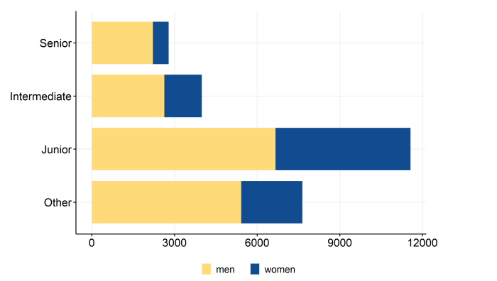 CH_Figure4_Academic_personnel_by_seniority_gender